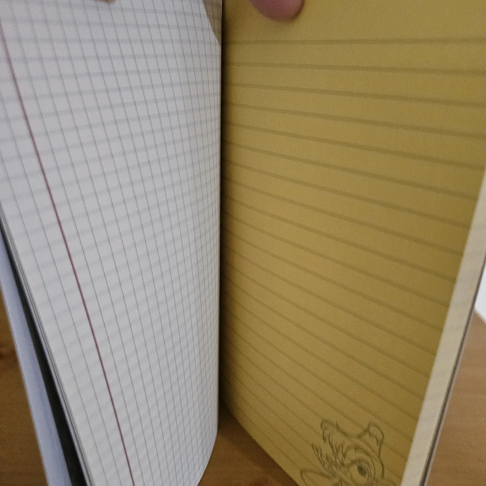 Disney notebook vhs